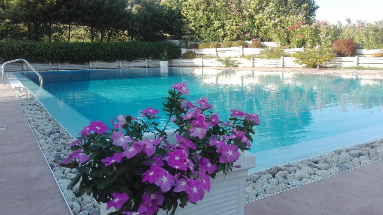 Tenuta Agrituristica Castellesi Farm stay