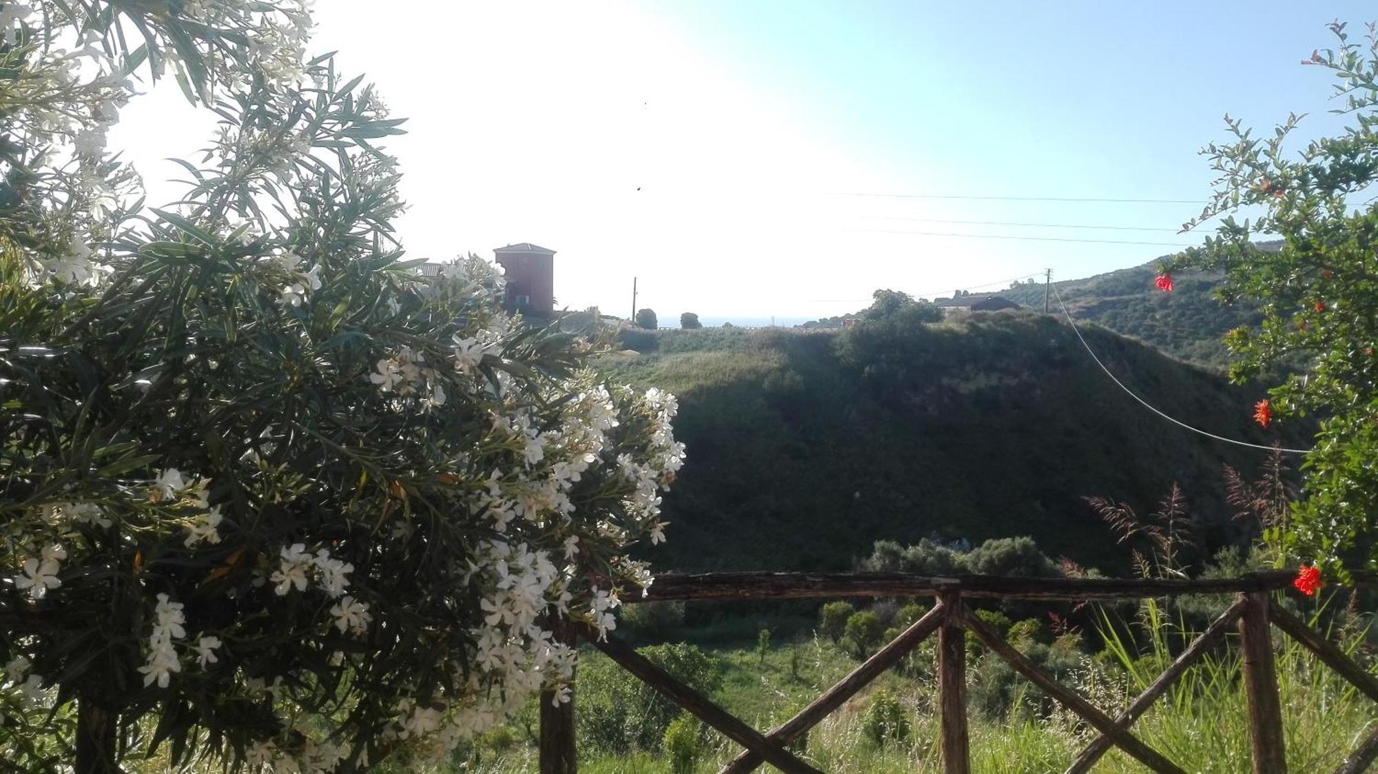 Tenuta Agrituristica Castellesi Farm stay