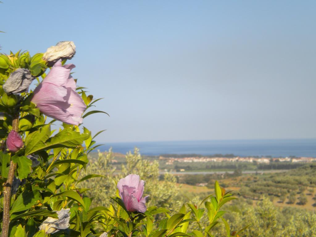 Farm stay Tenuta Agrituristica Castellesi Squillace