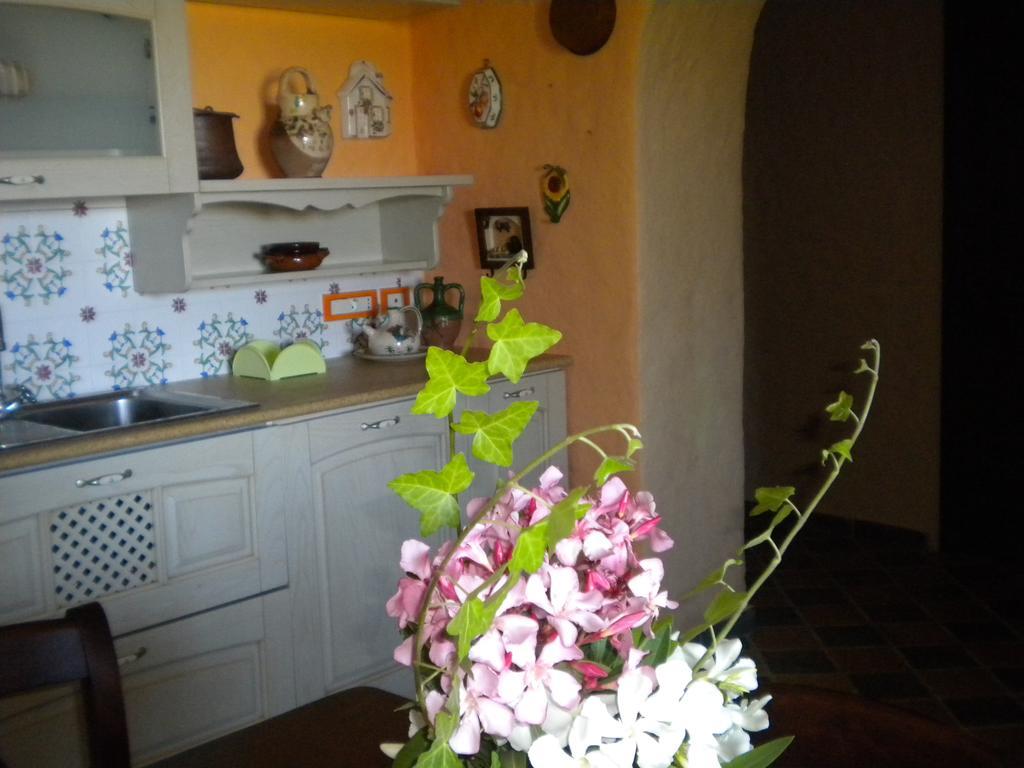 Tenuta Agrituristica Castellesi Vakantieboerderij *